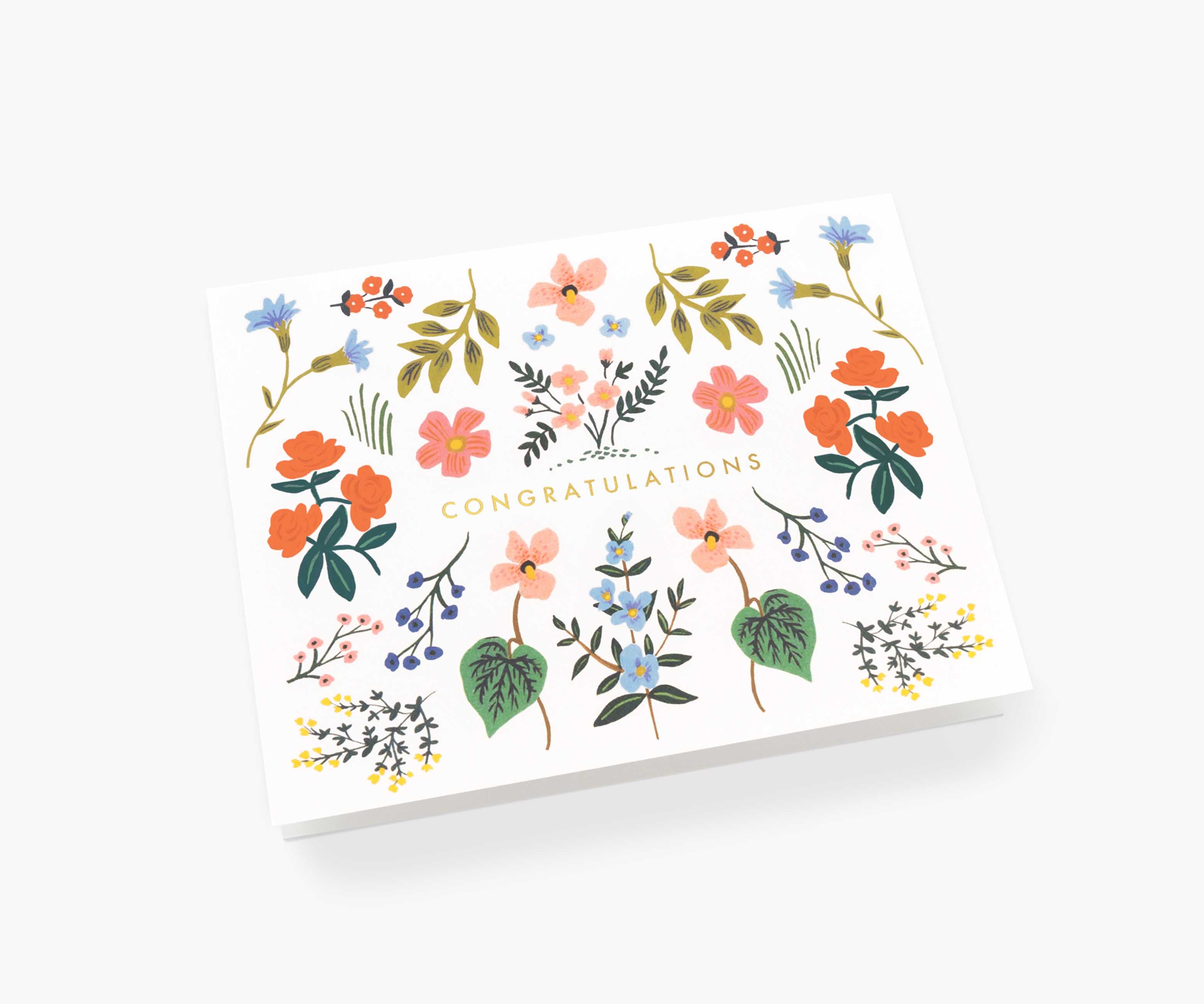 Wildwood Congrats Cards - Boxed Set